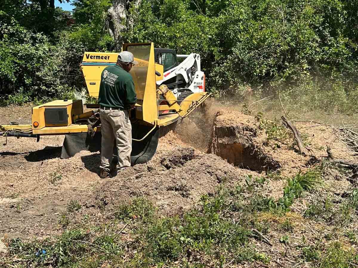 El Costeño Tree Service LLC